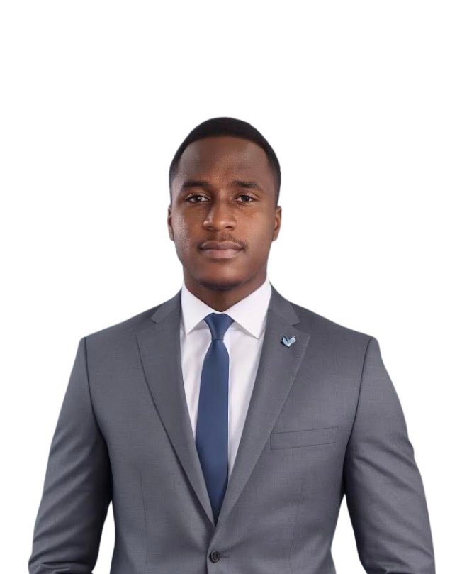 Healthcare AI  Systems Architect